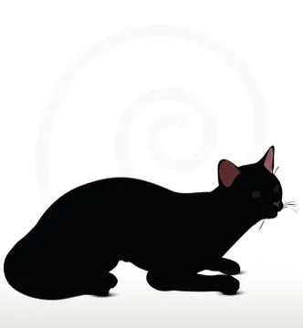 Cat silhouette in Sitting pose 스톡 일러스트