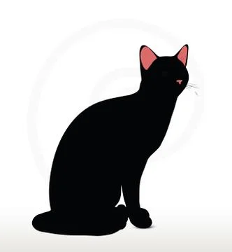 Cat silhouette in Sitting pose イラスト素材