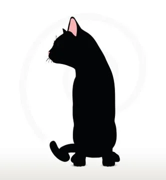 Cat silhouette in Sitting pose Stock Illustration