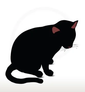 Cat silhouette in Sitting pose Stock Illustration