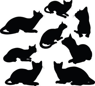Cat silhouette in Sitting pose 스톡 일러스트