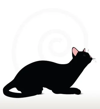 Cat silhouette in Sitting pose Stock Illustration
