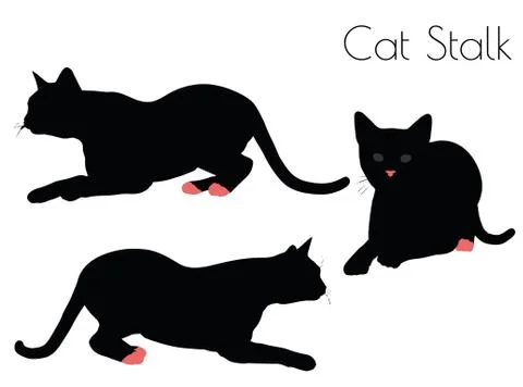 Cat silhouette in Stalk Pose Illustrazione stock