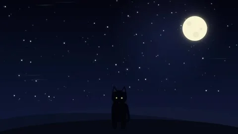 Cat Silhouette Under Glowing Moon in Starry Night Sky Motion Background Stock Footage 345598894