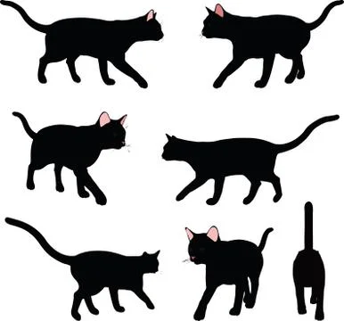 Cat silhouette in Walking pose Stock Illustration