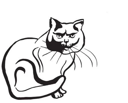 Cat sit Stock Illustration