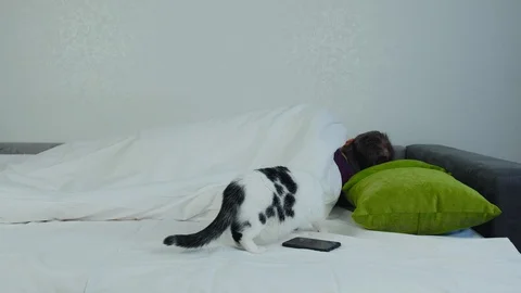 Cat sits on the bed and sniffs its sleeping owner who is lying under a blanket Stock Footage 129363805