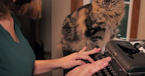 Cat sits on desk while young woman writes with typewriter. Stock Footage 141231463
