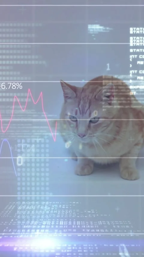 Cat sitting with financial data and coding animation over background Stock Footage 344285032