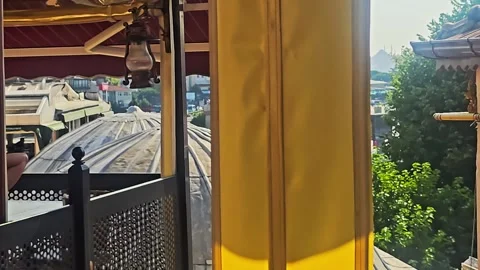 A cat sitting on a. Video stock 282680789