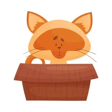 Cat Sitting Inside Cardboard Box Peeping Out Vector Illustration. Curious Kitty Illustrazione stock