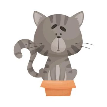 Cat Sitting Inside Small Cardboard Box Peeping Out Vector Illustration. Curious Illustrazione stock