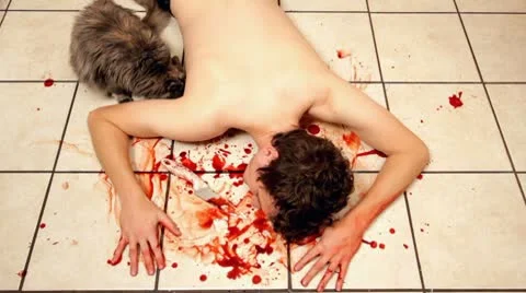 Cat sitting next to dead owner Stock Footage 8983805
