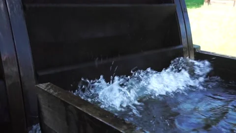 A cat sitting on top of a cage Video stock 131948368