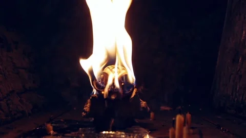 A cat skull burns in the darkness of a witch's house Stock Footage 271663545