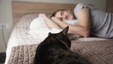 Cat sleeping in bed with owner. Stock Footage 142827767