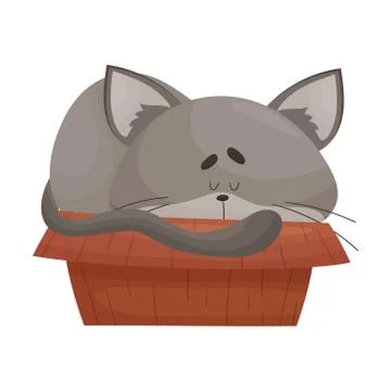 Cat Sleeping in Cardboard Box Vector Illustration. Kitty Inside Carton Box Illustrazione stock