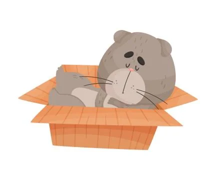 Cat Sleeping in Cardboard Box Vector Illustration. Kitty Inside Carton Box Illustrazione stock