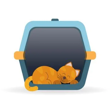 Cat sleeping in a carrier bag Stock Illustration