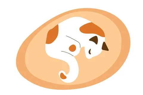 Cat sleeping on feline bedding. Pet kitty is resting. Vector illustration Stock Illustration