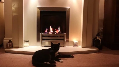 Cat sleeping near fire Stock Footage 86258137