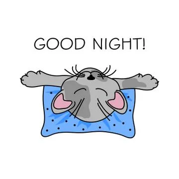 Cat sleeping on a pillow Stock Illustration