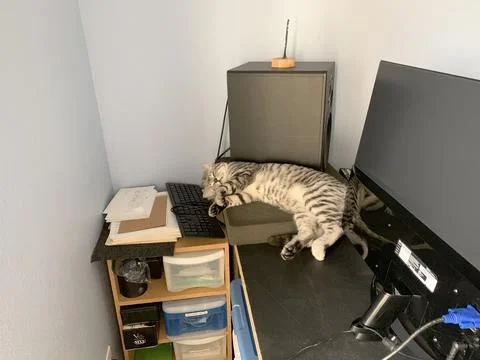 Cat sleeping in recording Studio Stock Photos