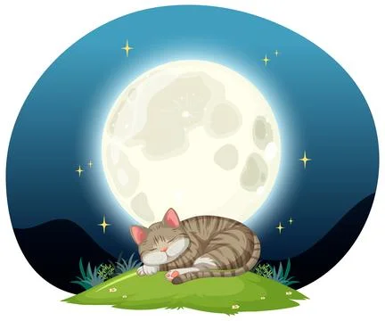Cat Sleeping Under the New Moon Stock Illustration
