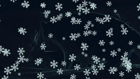 Cat With Snowflakes In Animation Stock Footage 115887694
