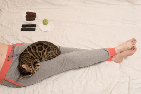 The cat snuggled down on the man's legs. Comfort and love. The concept of sta Stock Photos