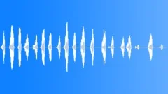 CATSound Effect