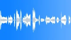CAT Sound Effect