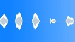 CAT Sound Effect