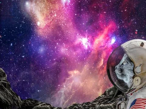 Cat in a spacesuit on another planet Stock Illustration