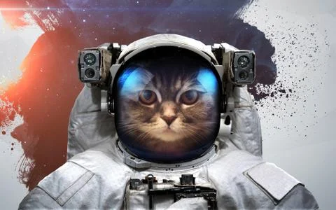 Cat in Spacesuit Stock Photos