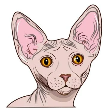 Cat sphinx Stock Illustration