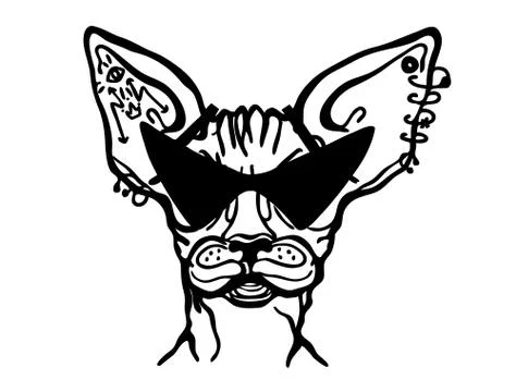 Cat sphinx piercing style with tattoo. Piercing cartoon cat handdrawn illustr Stock Illustration