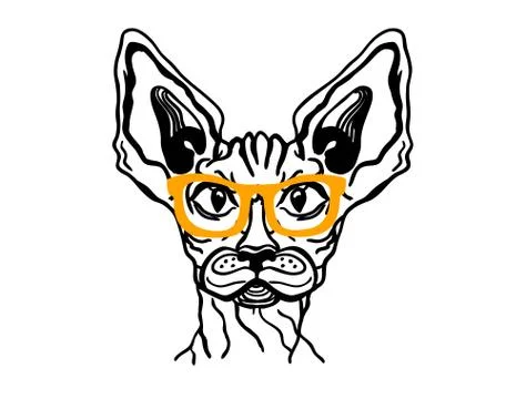 Cat sphynx in glasses. Vector printable cat animal with gold sunglasses isola Stock Illustration