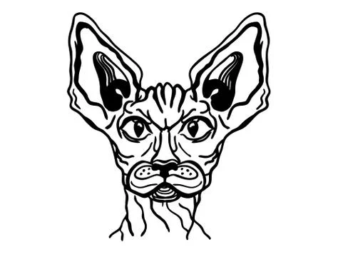 Cat sphynx portrait. Vector cat animal handdrawn illustration isolated on whi Stock Illustration