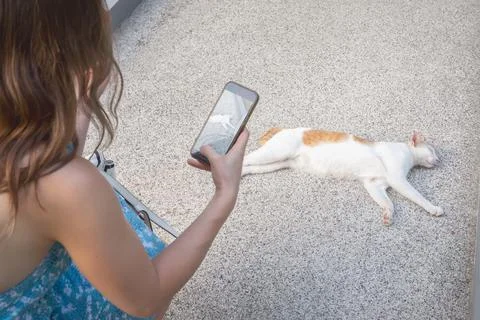 A cat sprawls on the sidewalk, while a human woman takes pictures of her with Stock Photos