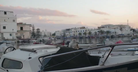 Cat stand in the ship Stock Footage 58659981