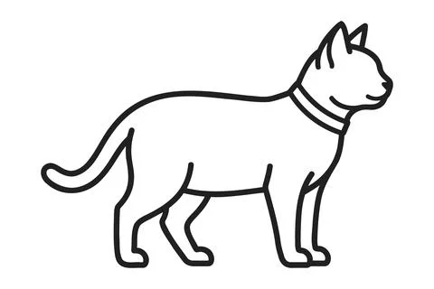 Cat standing alert for pet articles and editorial design Stock Illustration