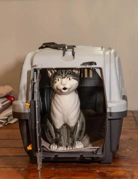 Cat Statue in Cage Stock Photos