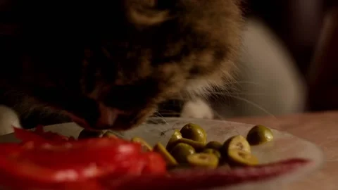 Cat steals olives from plate on kitchen table close up Stock Footage 157055649