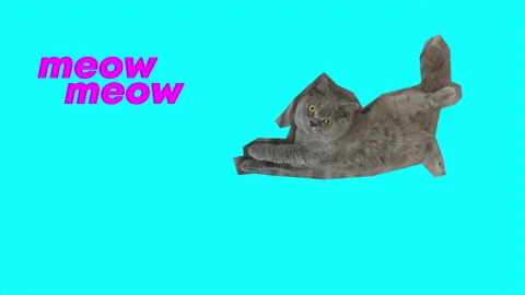 7,012 Cat Meow Stock Video Footage - 4K and HD Video Clips