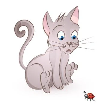 Cat storit to a bug Stock Illustration