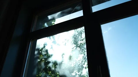 A cat stretches next to a window 스톡 동영상 261156158