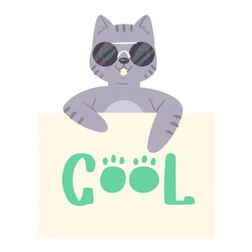 Cat in sunglass banner vector kitten character peeking behind cardboard kitty Stock Illustration