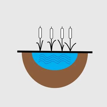 Cat tail plant Stock Illustration