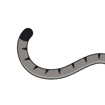 Cat tail vector element concept design template Stock Illustration